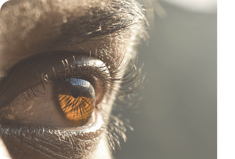 Built for SMEs and mid-market companies